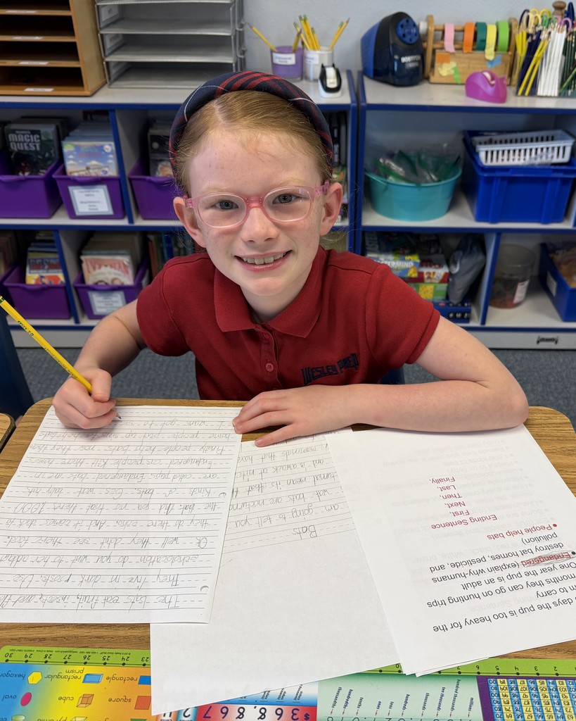 2nd Grade Descriptive Writing Lesson