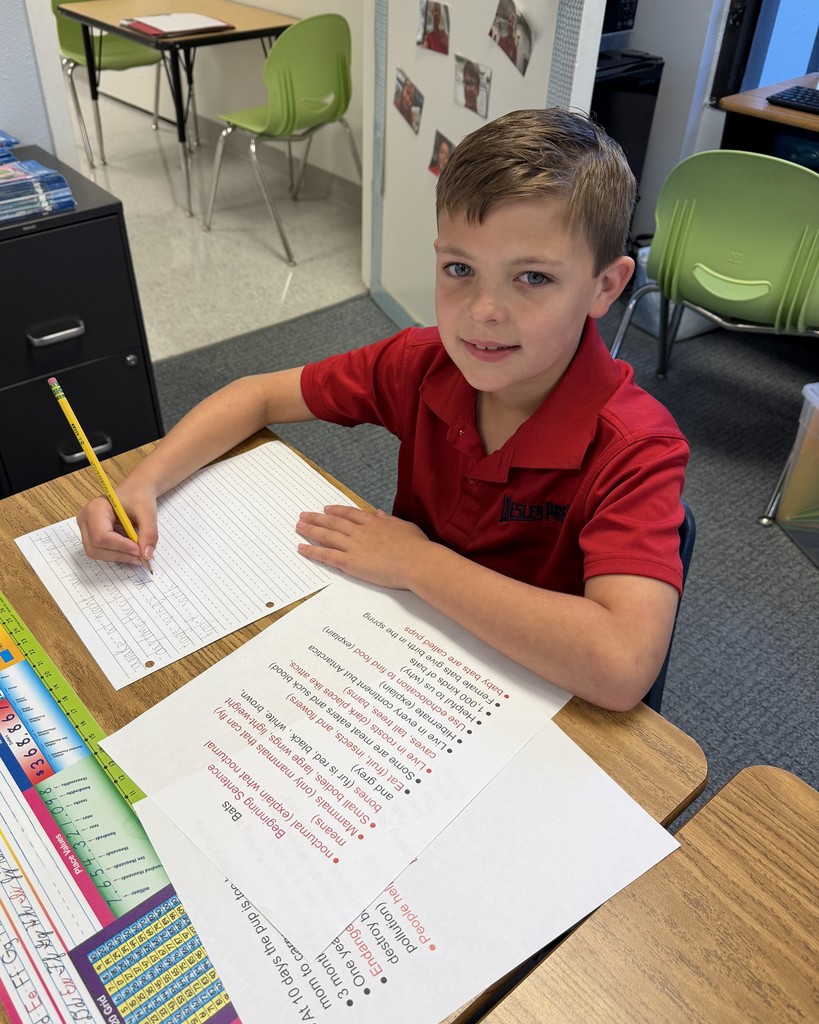 2nd Grade Descriptive Writing Lesson