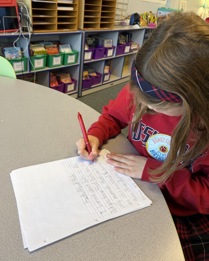 2nd Grade Descriptive Writing Lesson