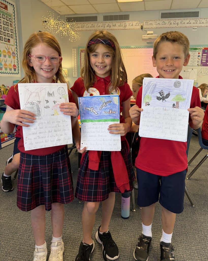 2nd Grade Descriptive Writing Lesson