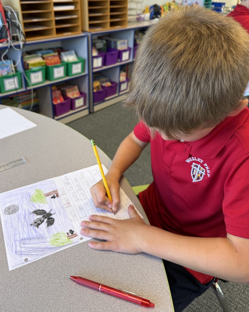 2nd Grade Descriptive Writing Lesson