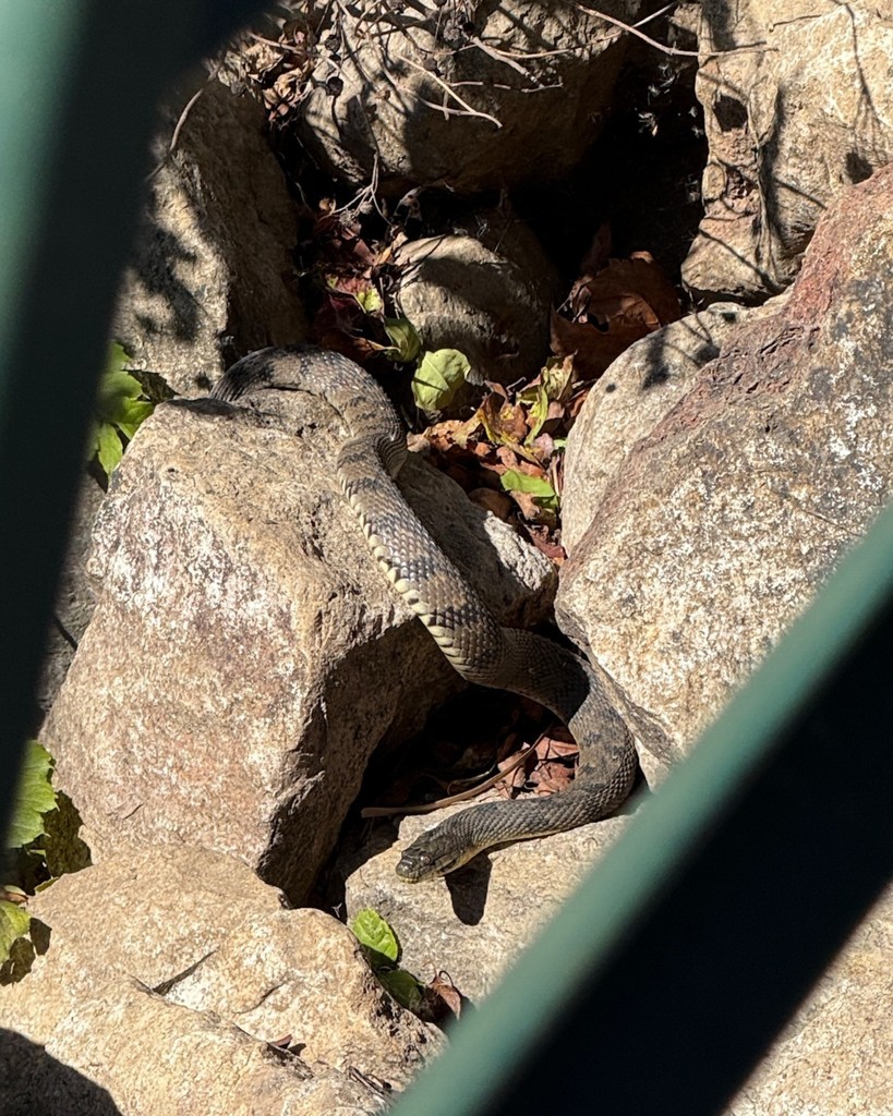 4th Grade Field Trip - Ft Worth Nature Center and Refuge