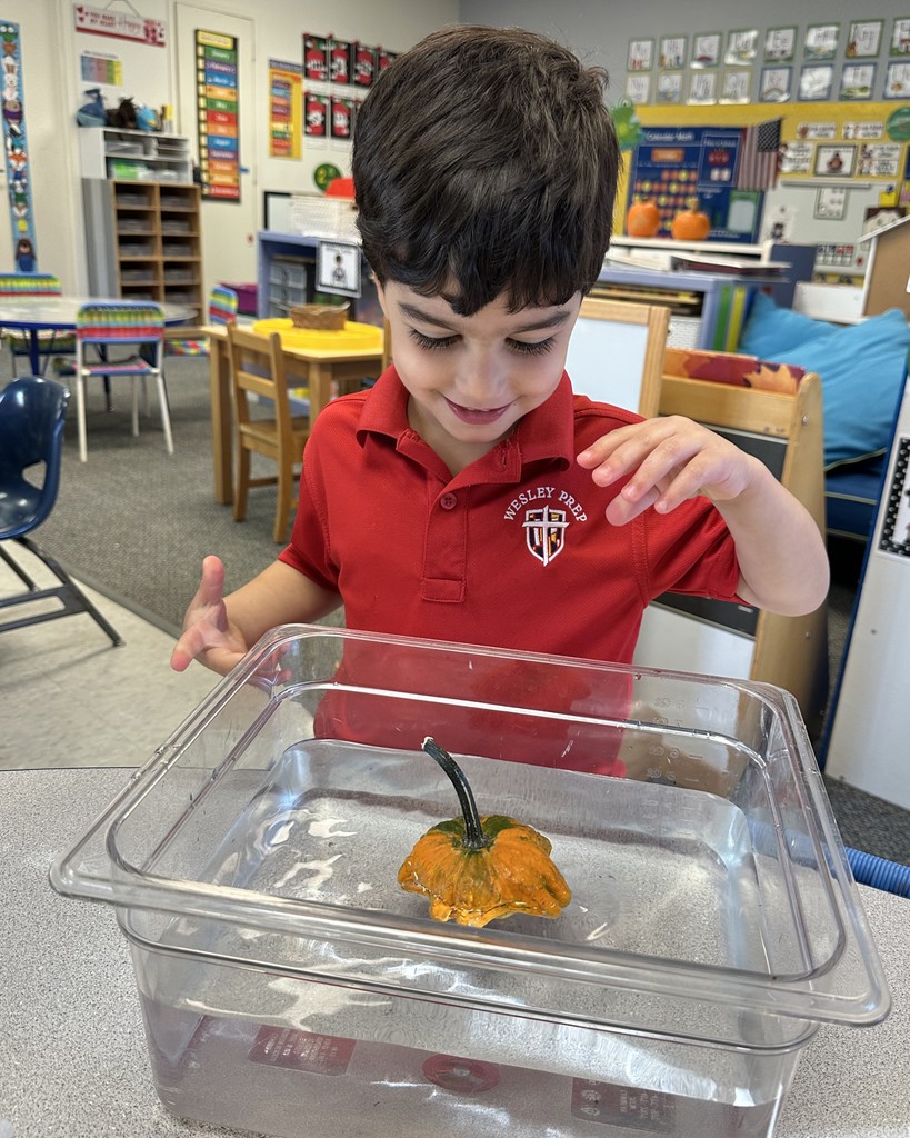 PreK 4 STEM lesson on pumpkins