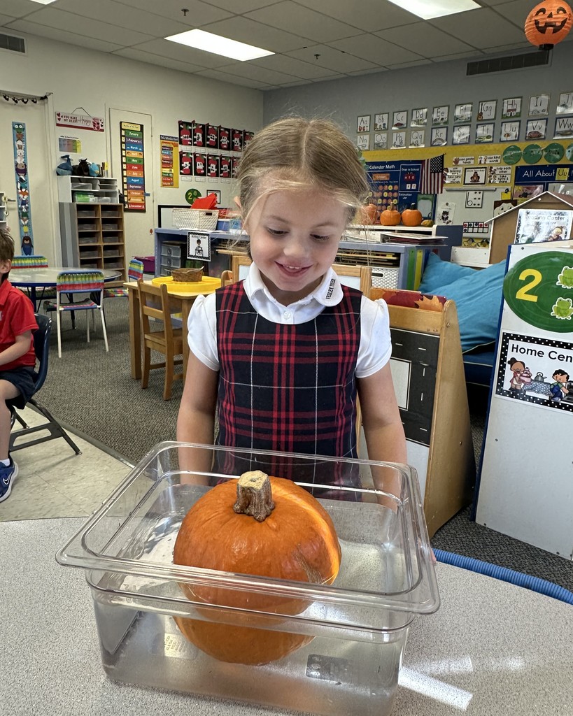 PreK 4 STEM lesson on pumpkins