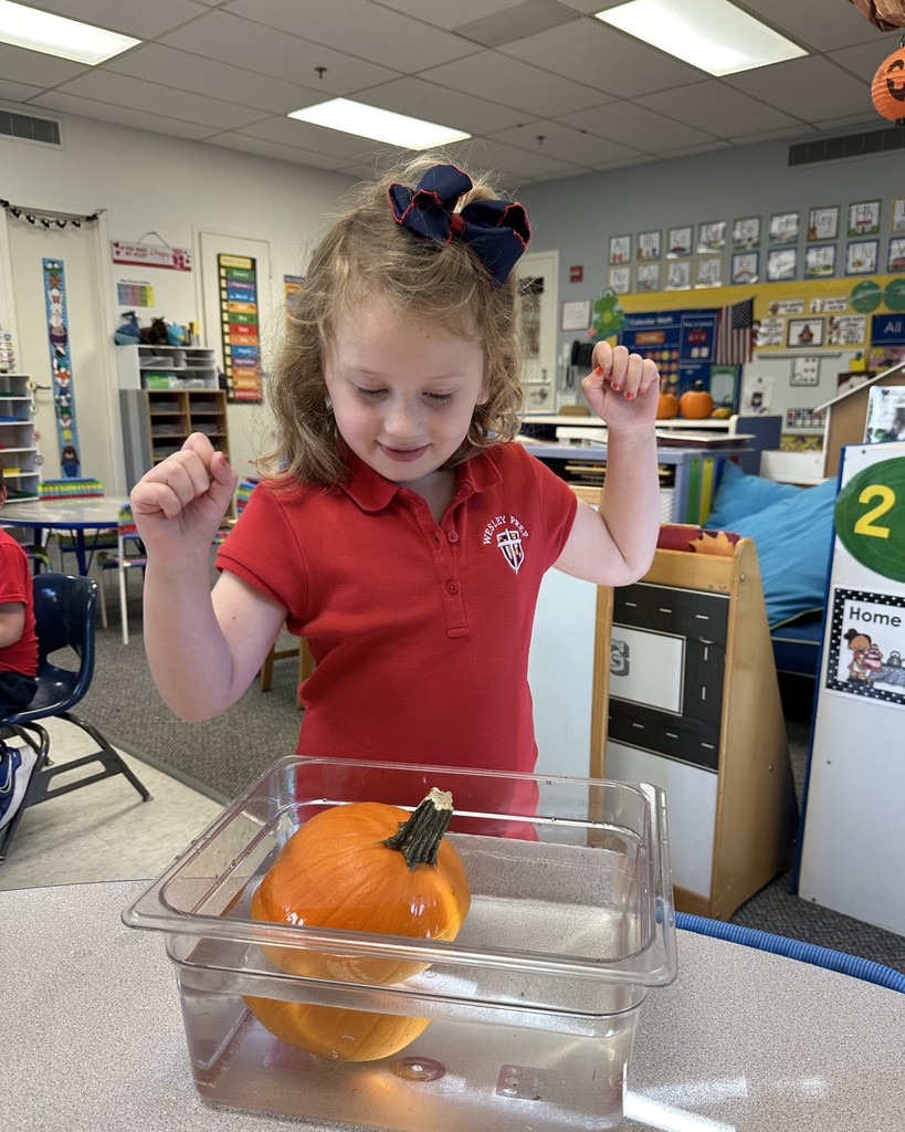 PreK 4 STEM lesson on pumpkins