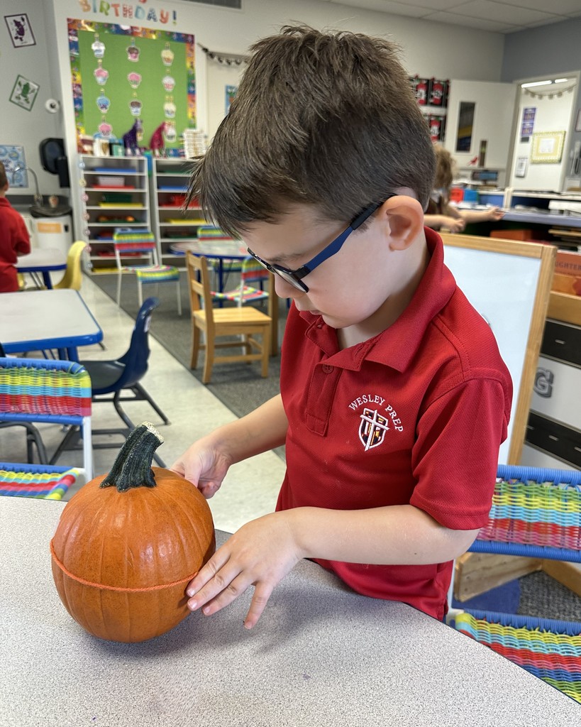 PreK 4 STEM lesson on pumpkins
