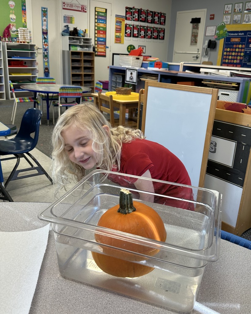 PreK 4 STEM lesson on pumpkins
