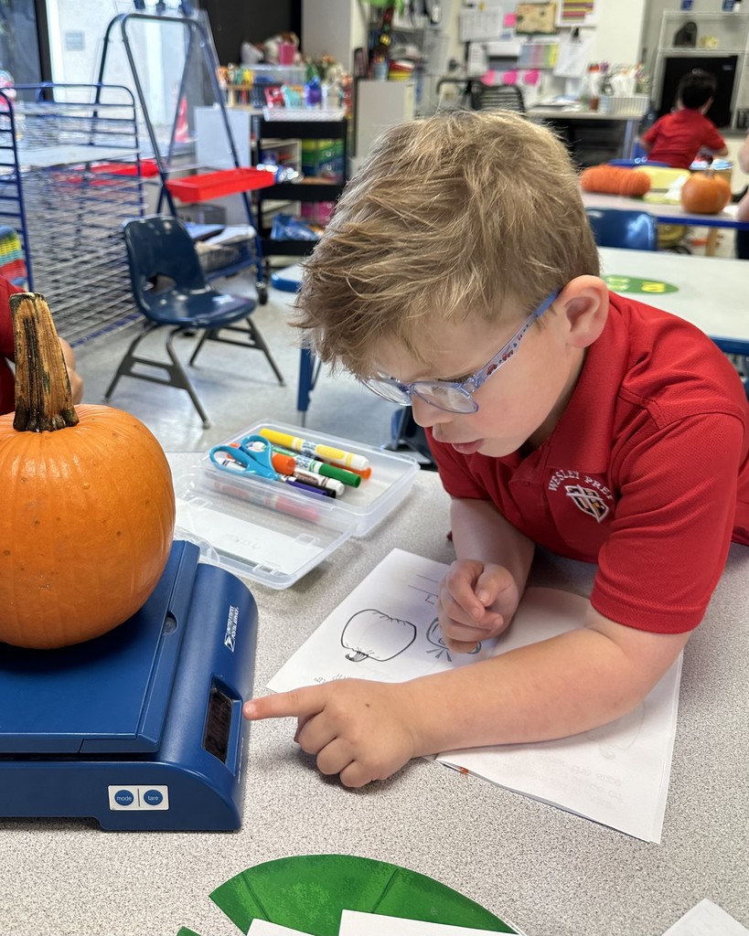 PreK 4 STEM lesson on pumpkins