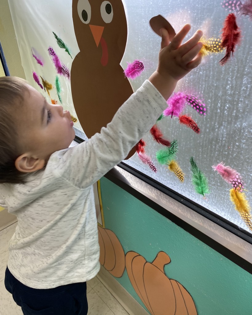 Toddler Sensory Lesson