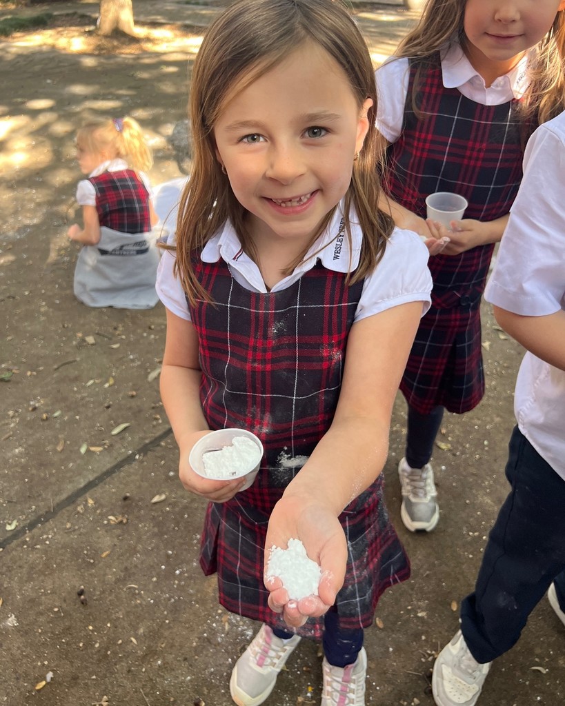 1st grade science lab snow lesson