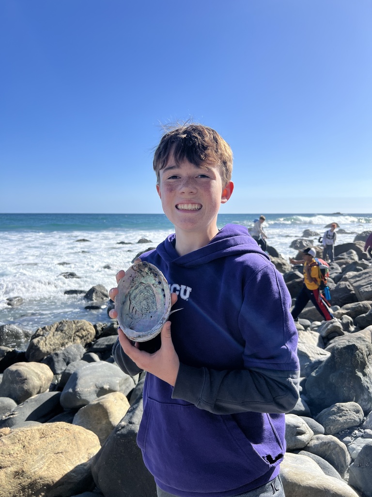 exploring tide pools