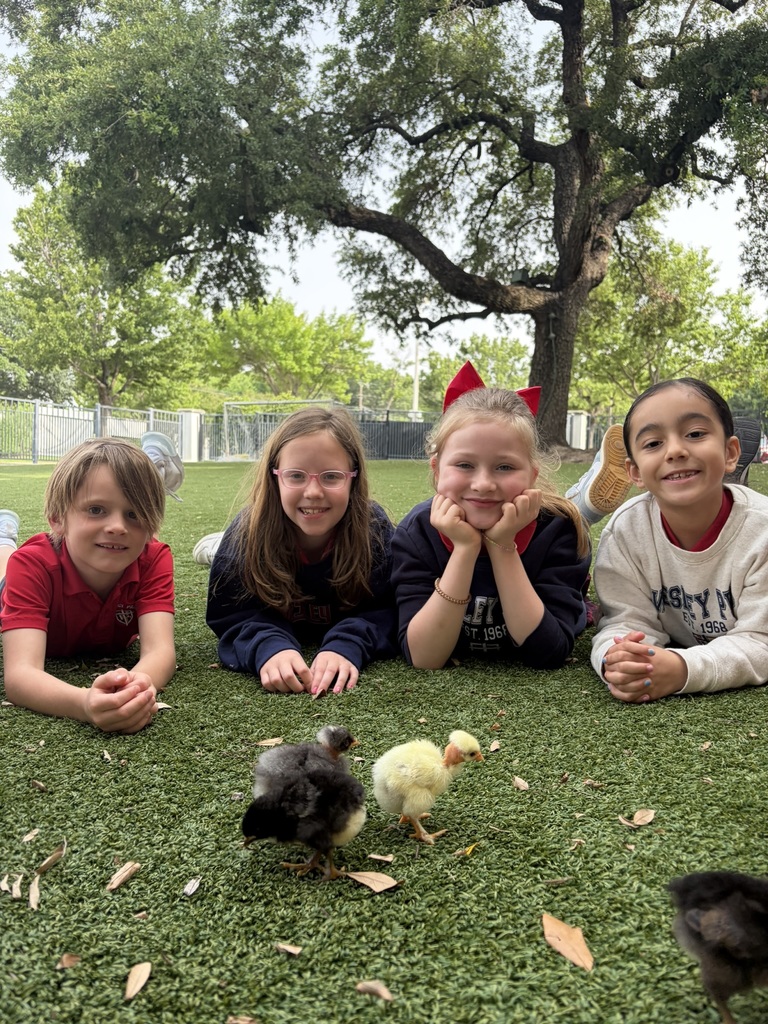 Taking the chicks outside.