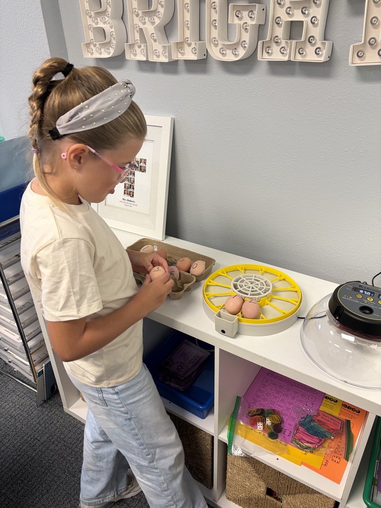 Placing the eggs into the incubator.