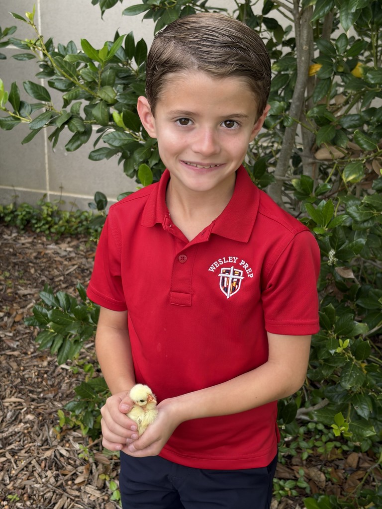 Taking the chicks outside.