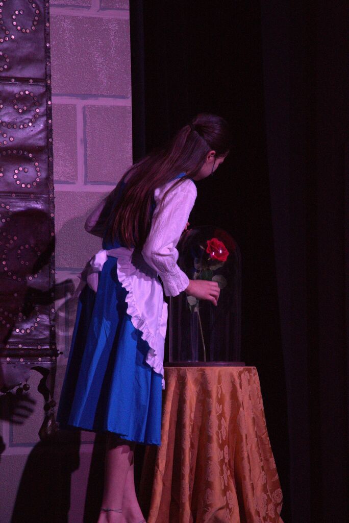 Belle looking at the rose.