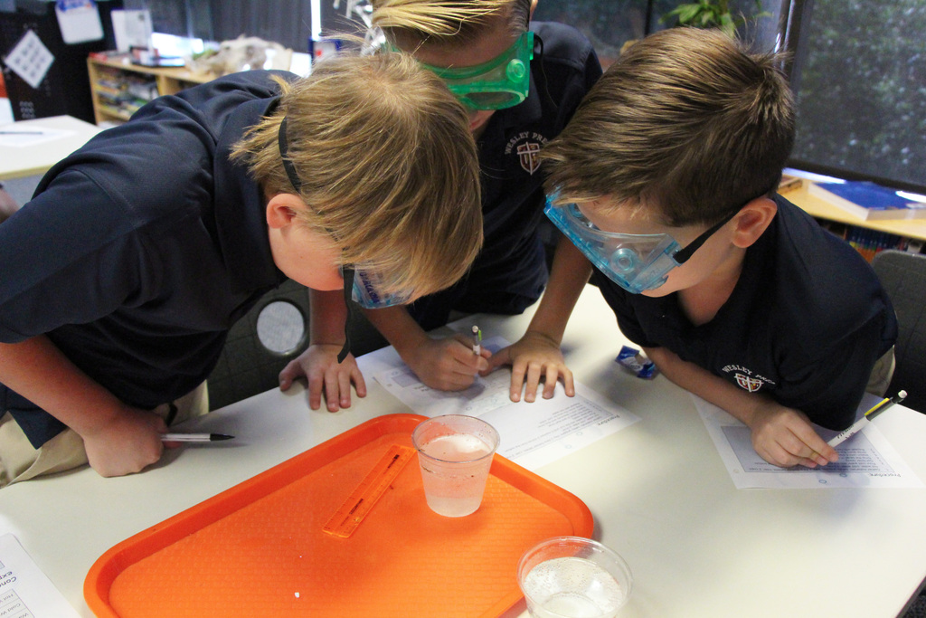 Intently examining the chemical reaction