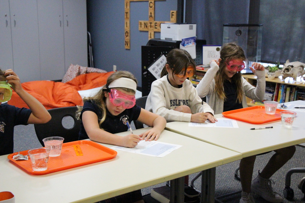 Recording their findings.