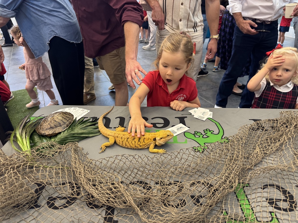 Petting a bearded dragon!