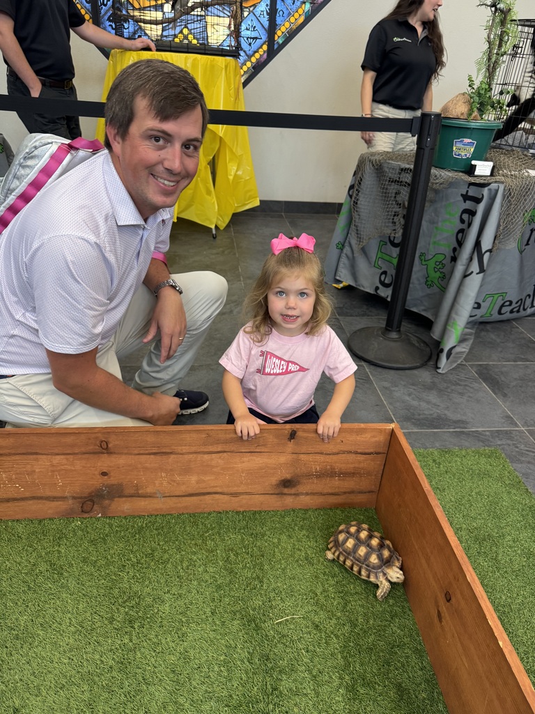 Looking at the baby tortoises. 