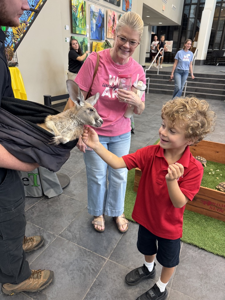Petting the baby kangaroo.