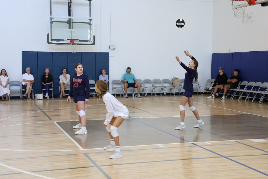 Preparing to serve the ball