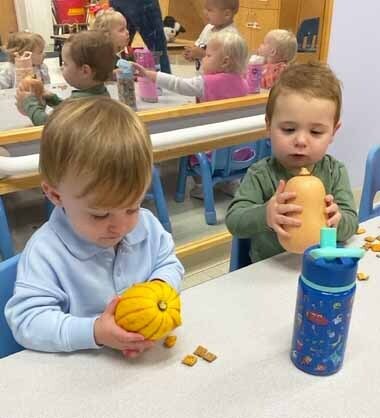 Exploring pumpkins in Toddler A!