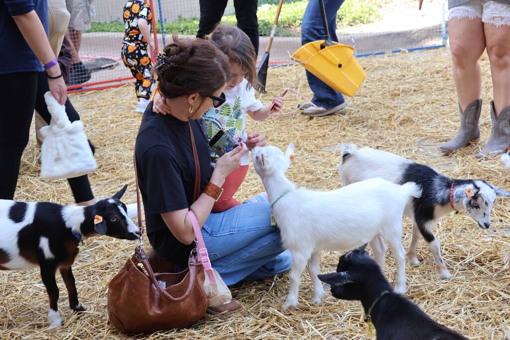 More EC at the Petting Zoo