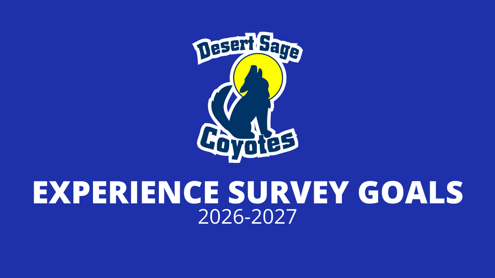Experience Survey Goals