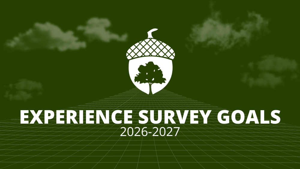 Decorative image of experience survey goals for 2026-2027