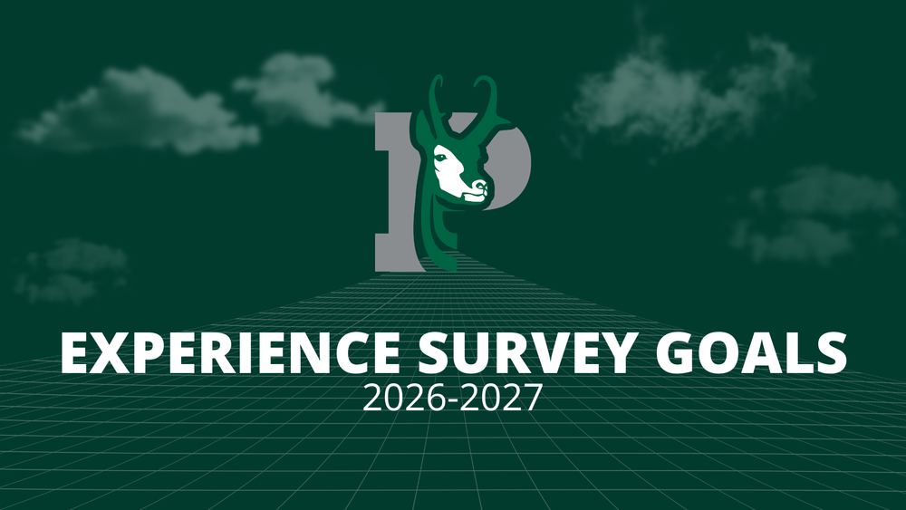 Experience Survey Goals Graphic