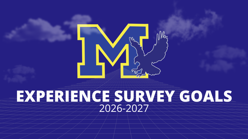 Experience Survey Goals 2026-2027