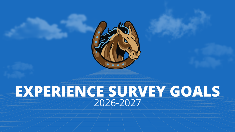 Experience Survey Goals 2026-2027