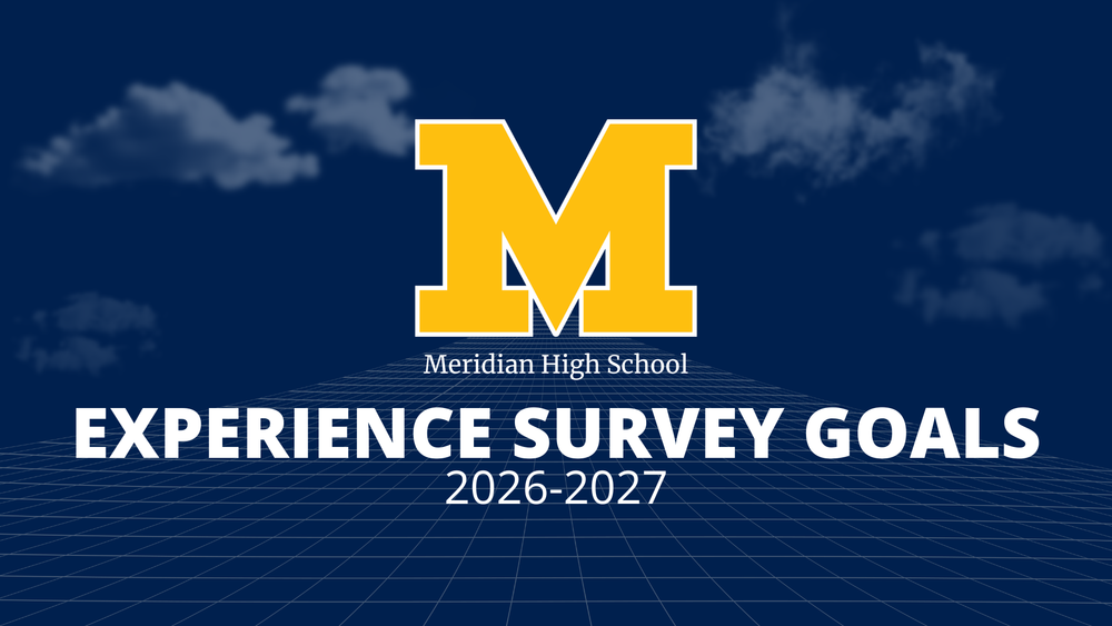 Experience Survey Goals