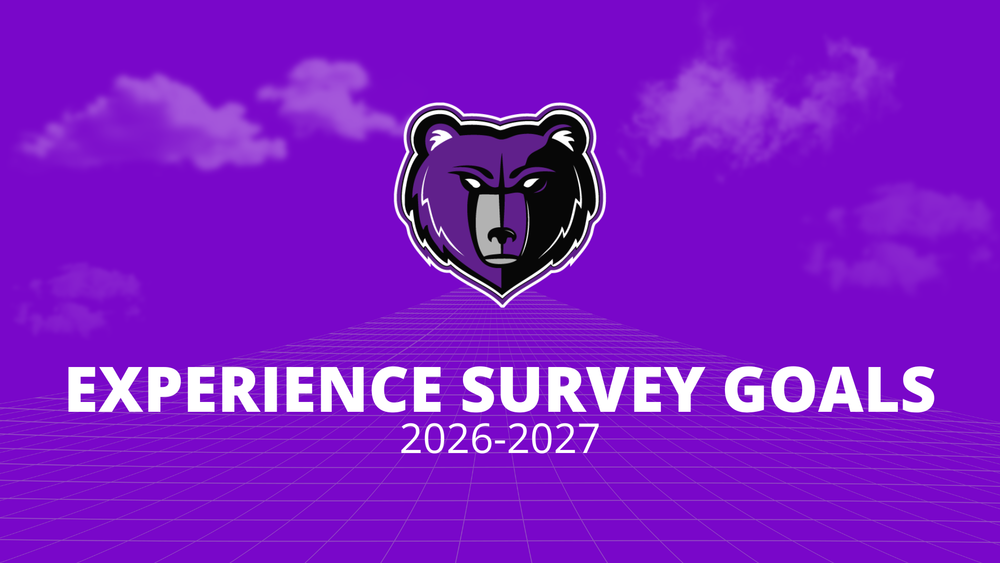 Experience survey goals 