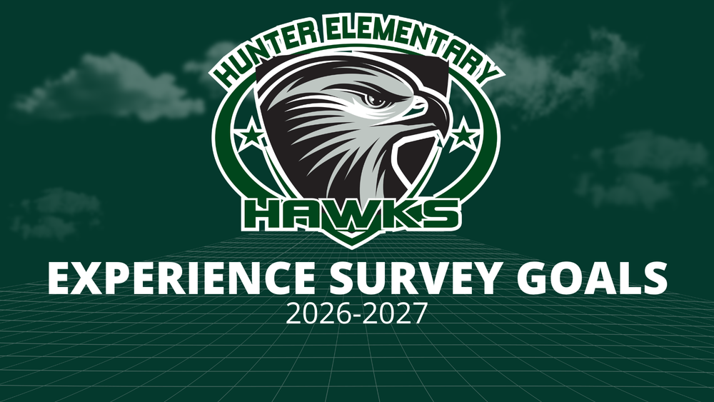 Experience Survery Goals