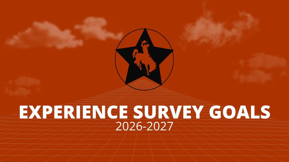 experience survey goals