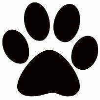 paw