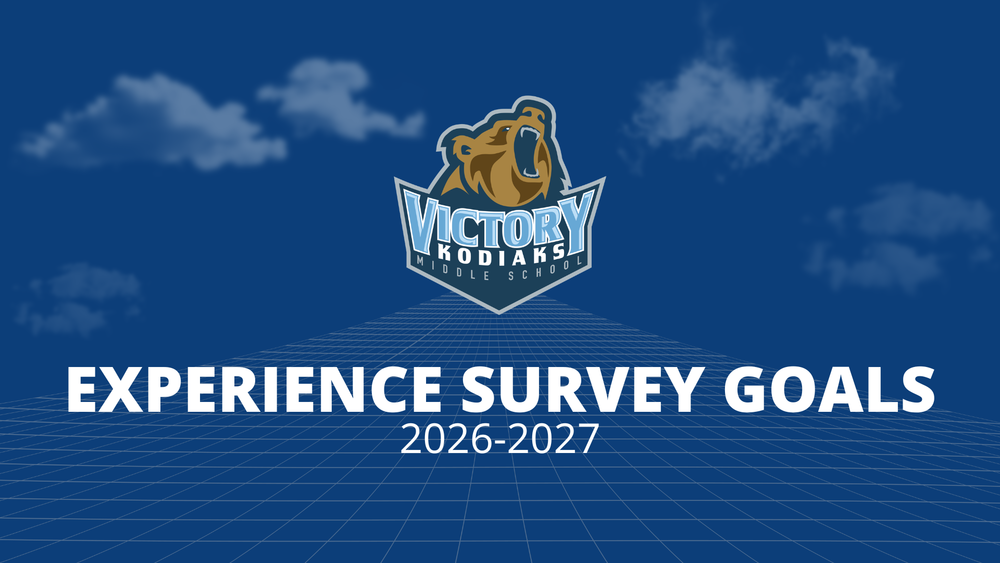 Experience Survey Goals