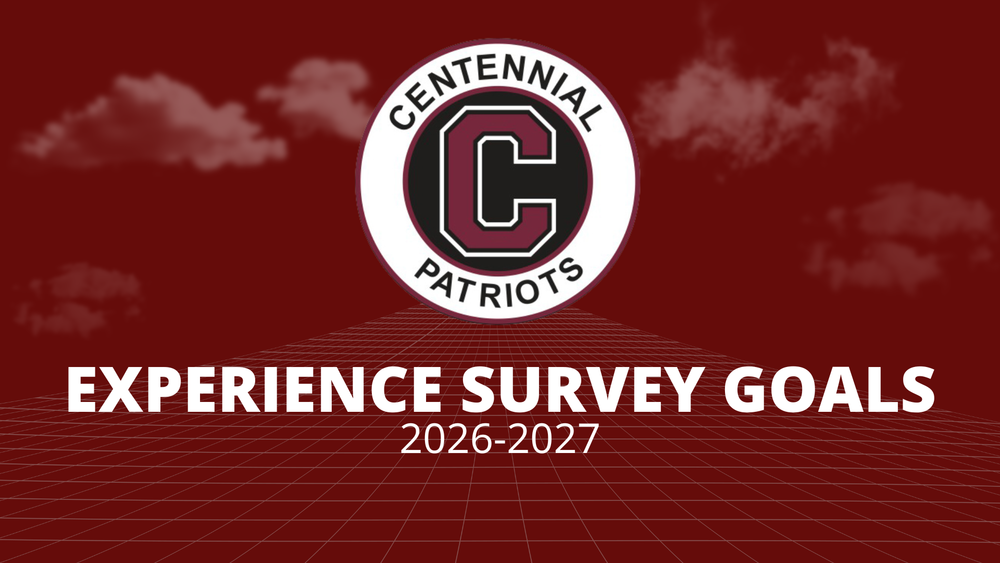 experience survey goals