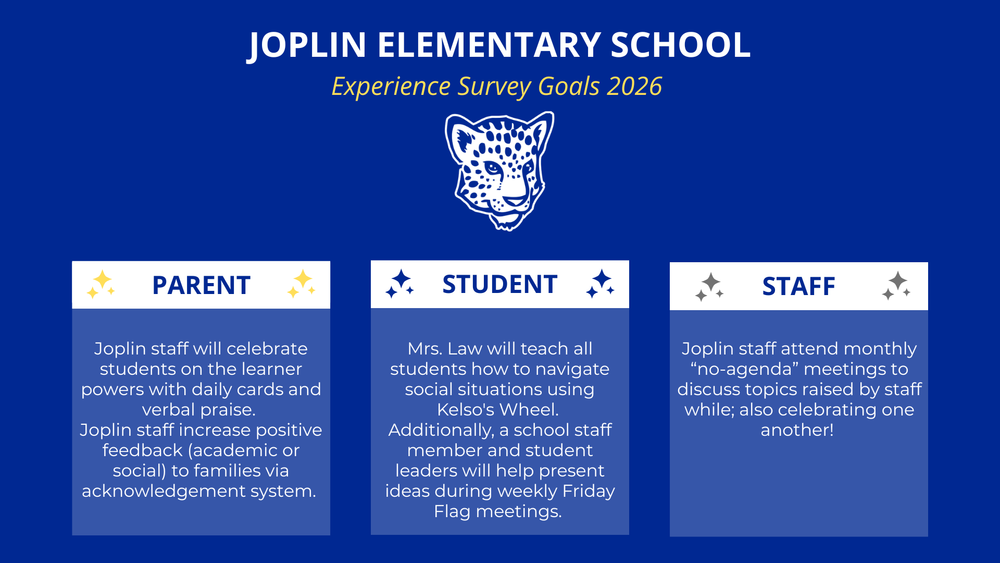 Experience Survey Goals