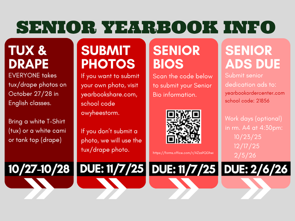 senior ybk