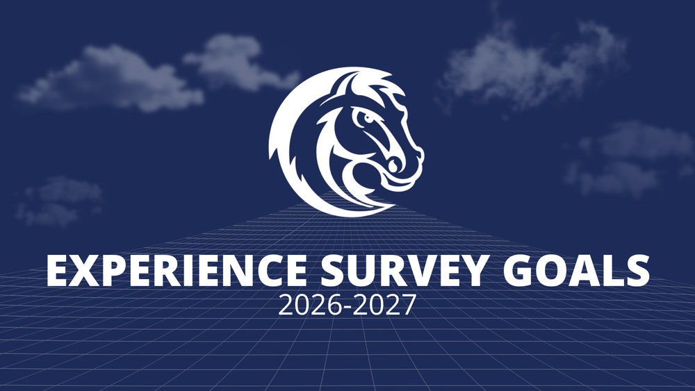 Experience Survey Goals