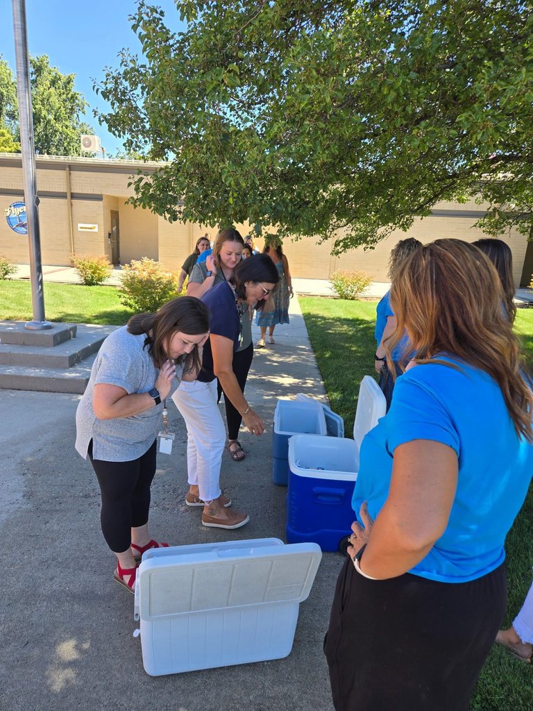 teachers getting ice cream at flyers