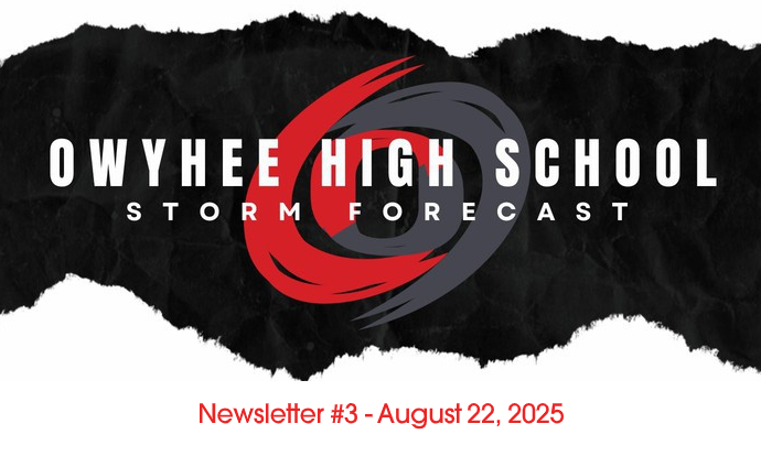 Newsletter #3