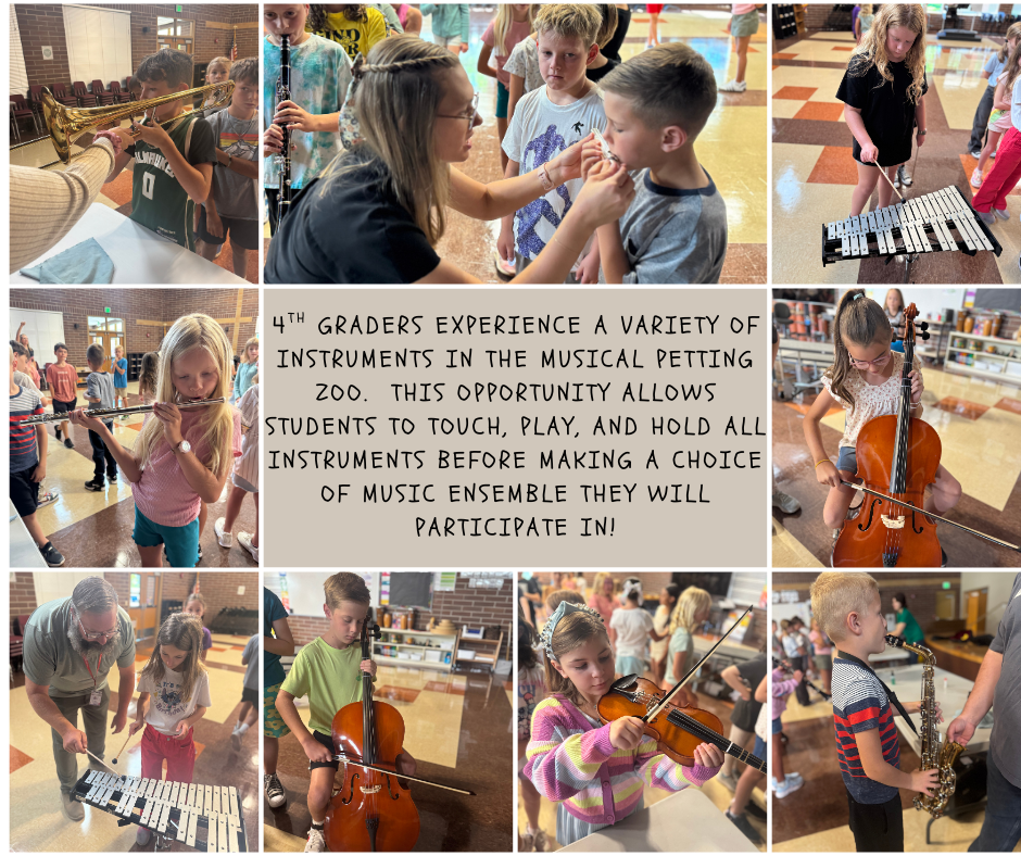 all 4th Instrument petting zoo (1)