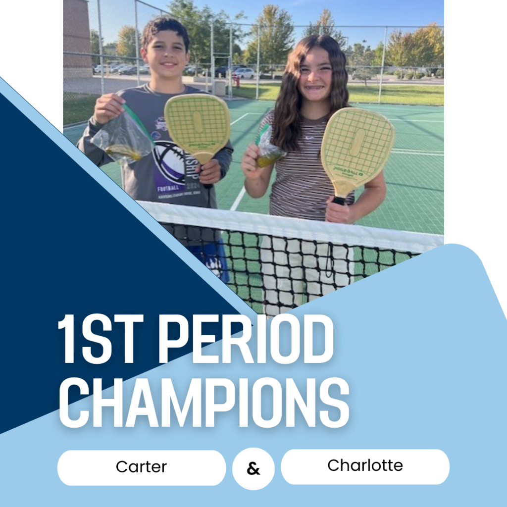 Pickleball Championships