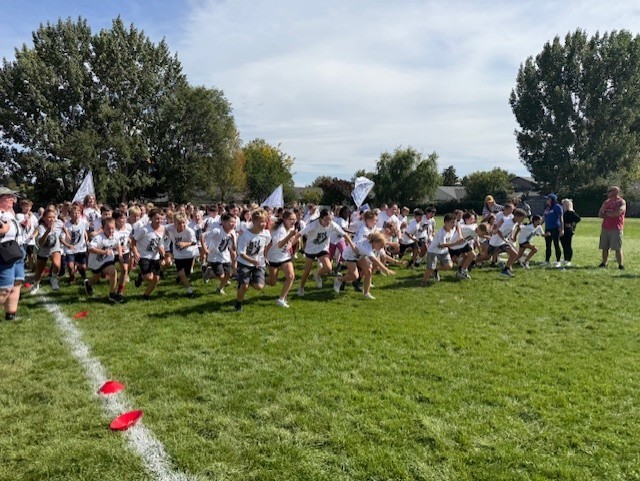 color run 