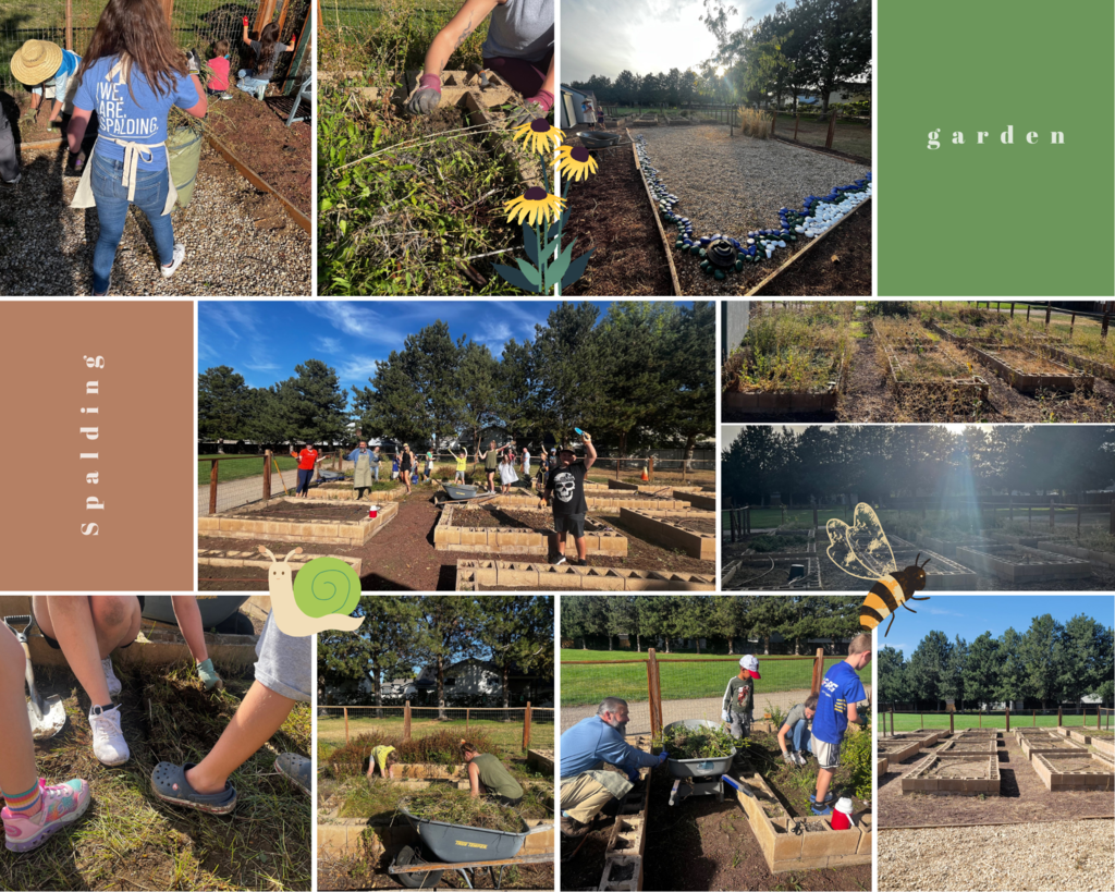 Spalding Garden clean up