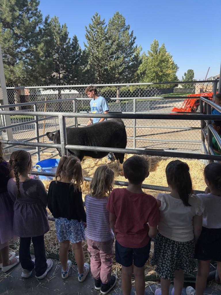 Students learn about Diamond the cow