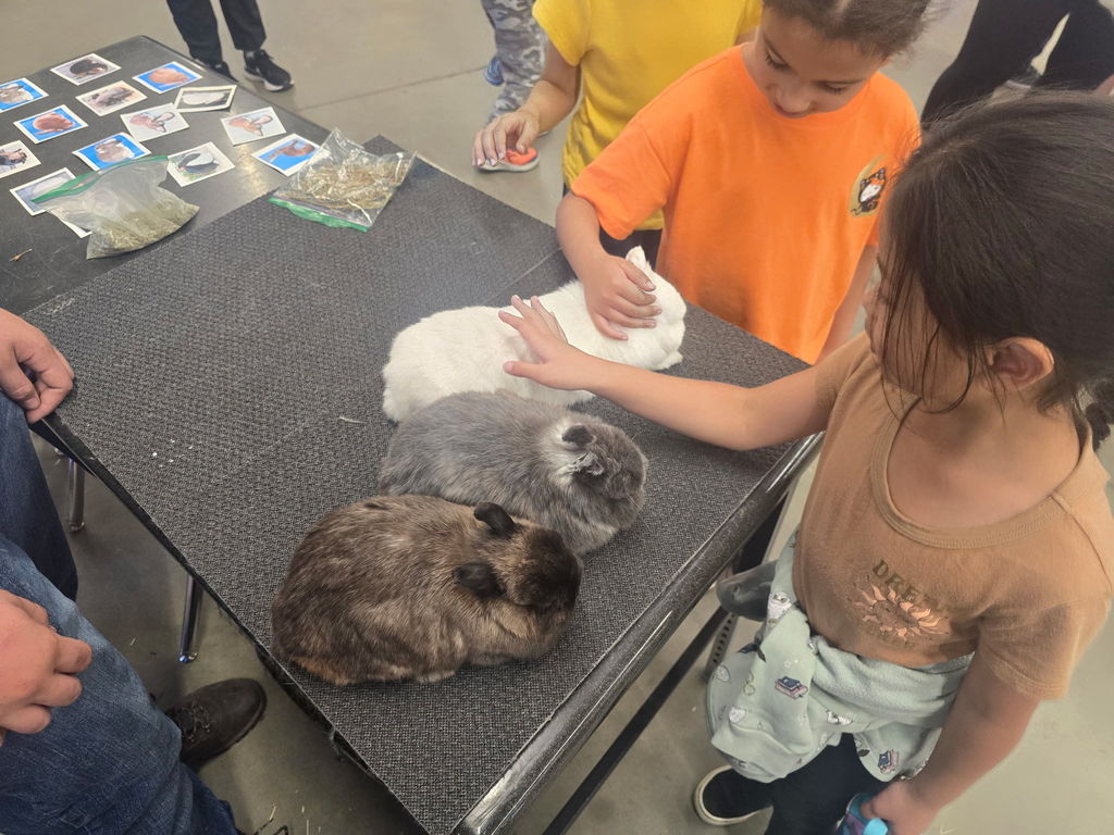 1st Grade Ag Expo